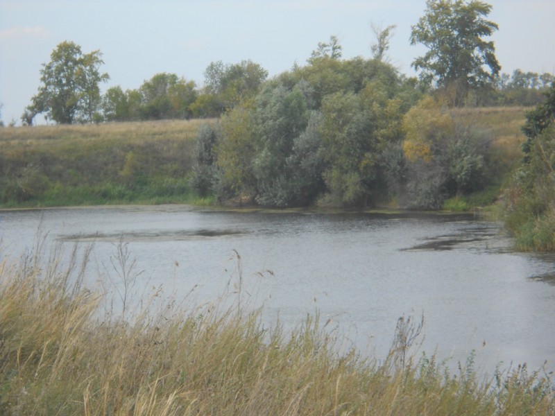 Ставропольский район, с. Хрящевка